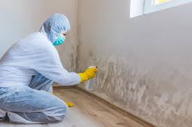 Best Mold Damage Restoration in USA